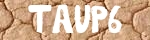 Captcha Value
